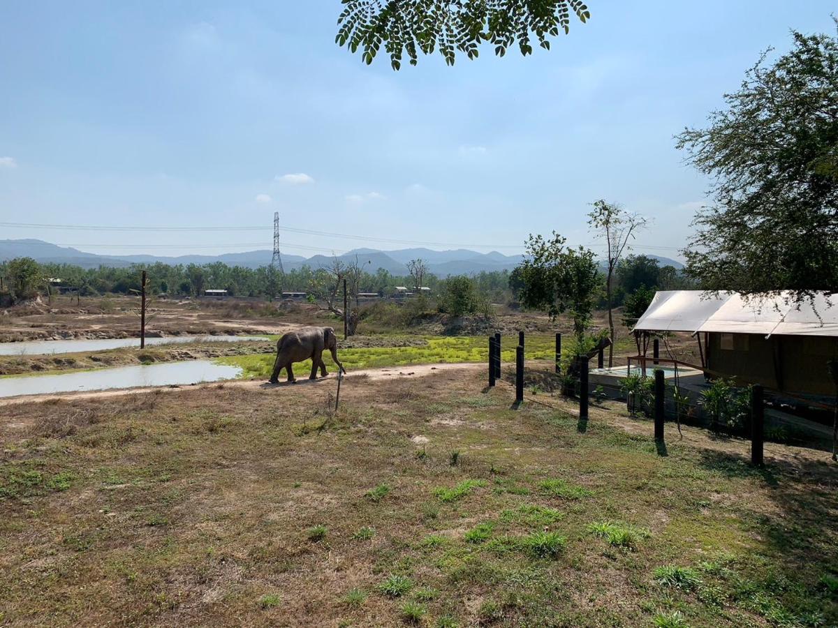 Elephant View Camp Ban Huai Thawai Luaran gambar
