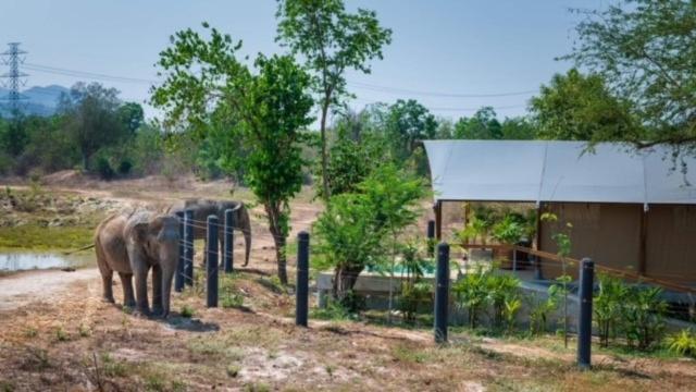 Elephant View Camp Ban Huai Thawai Luaran gambar